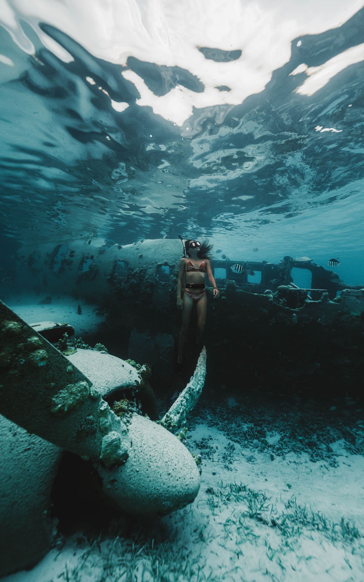 Freediver at the plane wreck — Staniel Cay