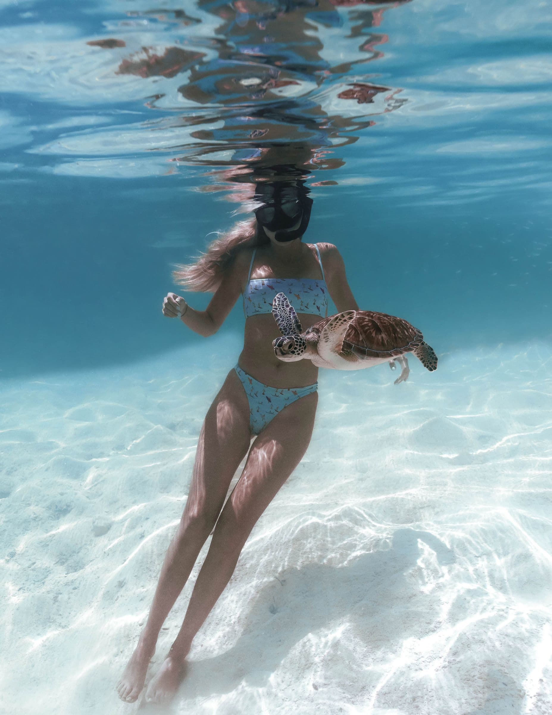 Guest with sea turtle — underwater