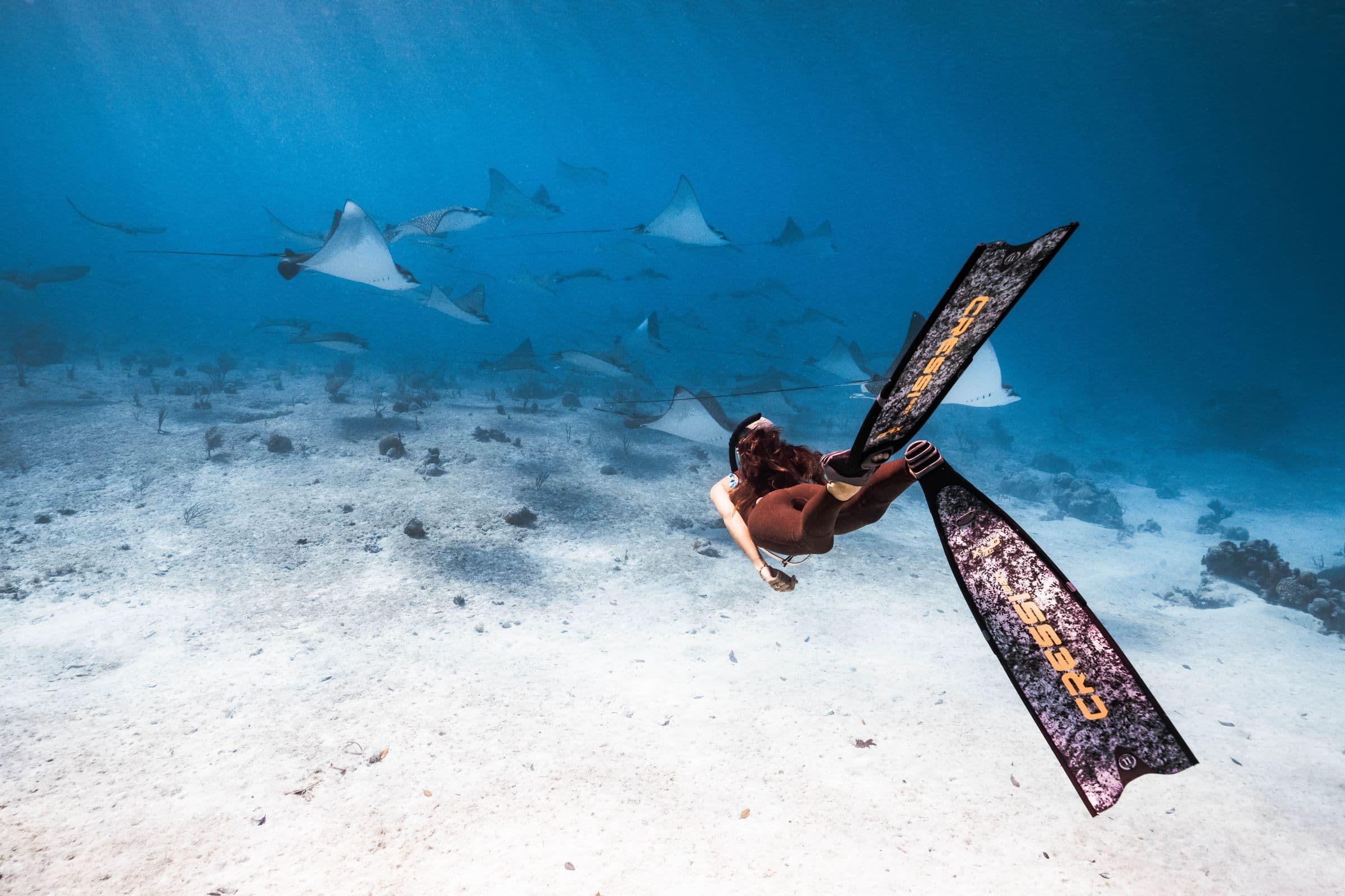 Freediver descending with a squadron of eagle rays — Exumas, Bahamas