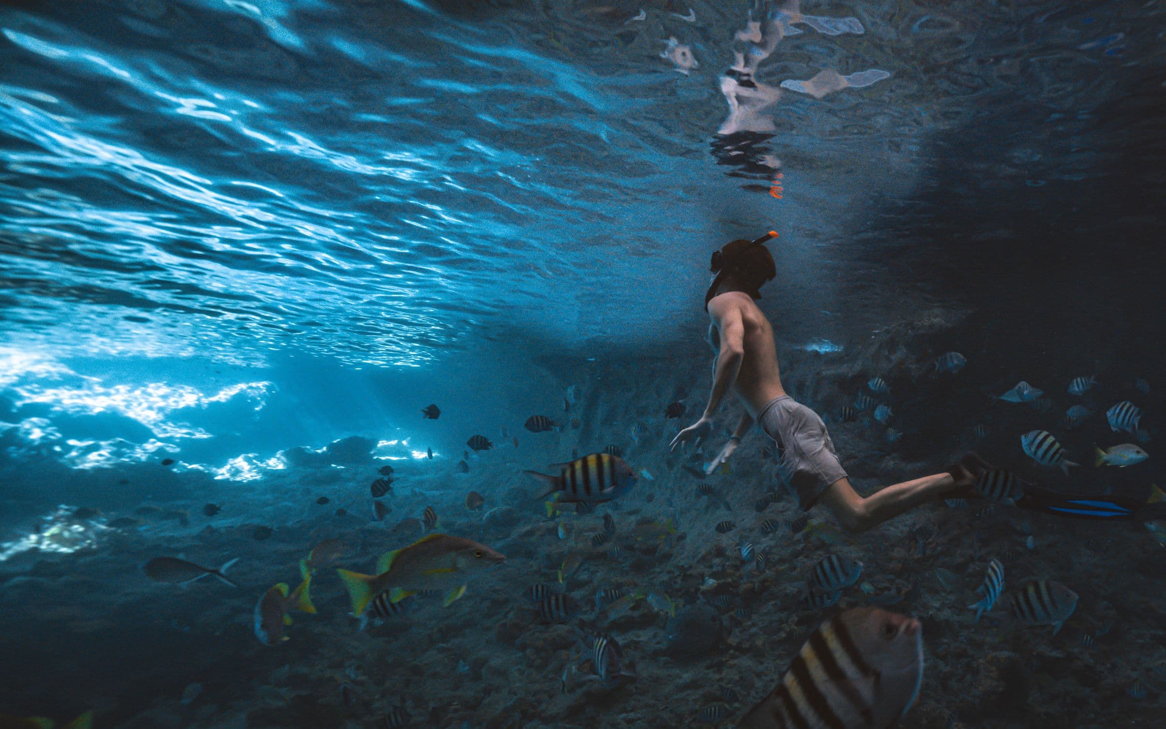 Man in grotto with tropical fish and stalactites